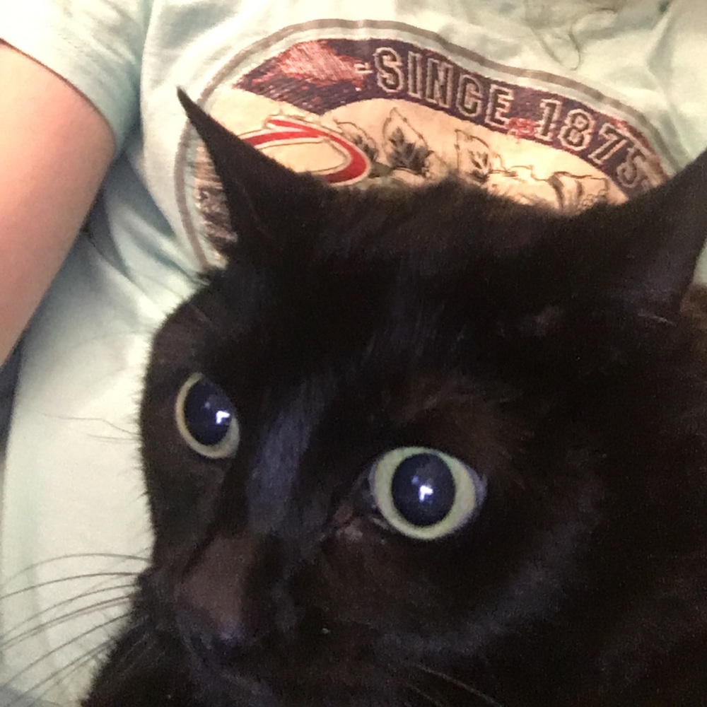 Meet your Posher, Allie